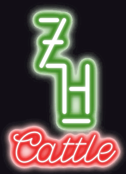 ZH Cattle