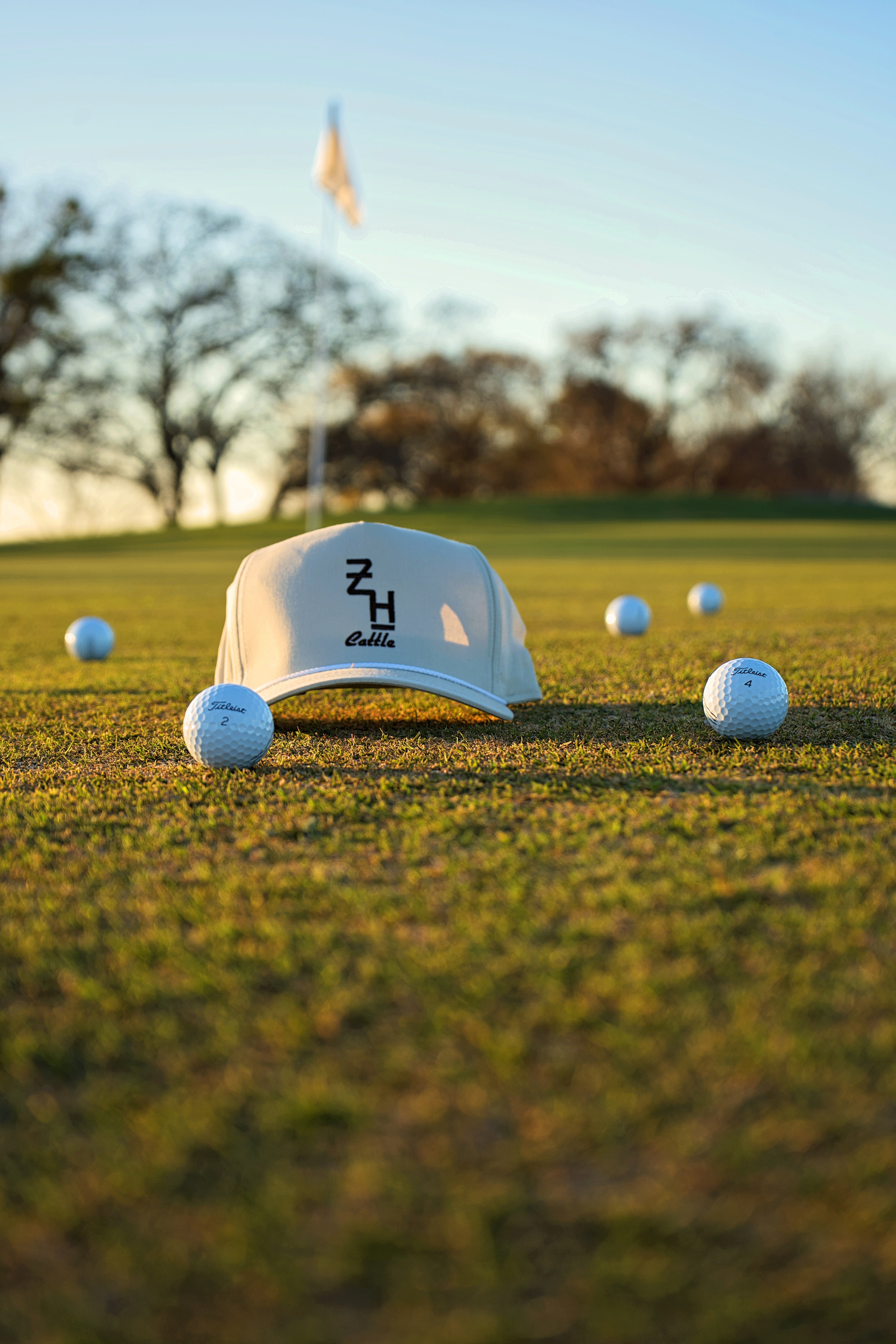 Hats – ZH Cattle