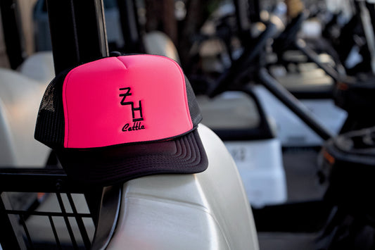 Pony Up