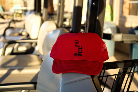 Ace High