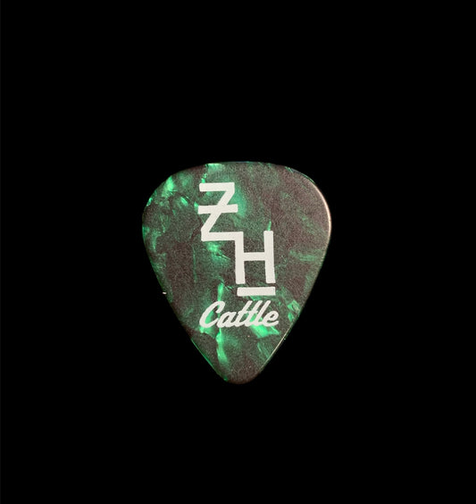 Guitar Pick