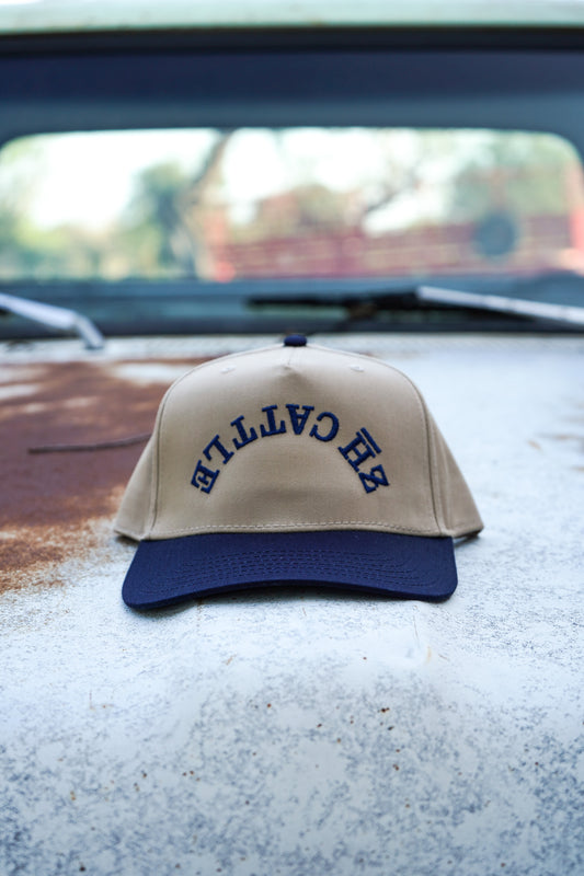 Frost